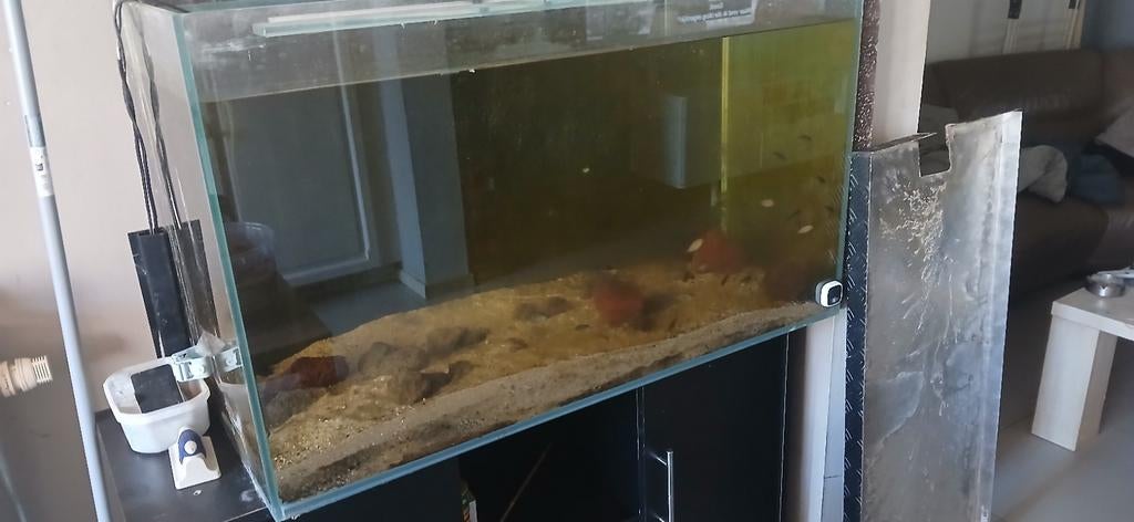 Aquarium van 1mop 0.60 en 0.50m.            8mm dik glas, Enlèvement