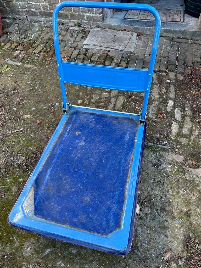 plateauwagen 300kg, Doe-het-zelf en Bouw, Transportwagens, Ophalen, Gebruikt, Transportkar