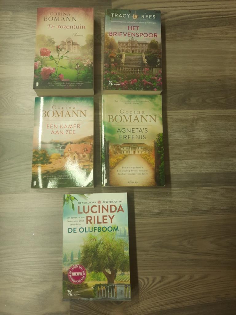 Verschillende romans, zo goed als nieuw, Boeken, Ophalen of Verzenden, Zo goed als nieuw