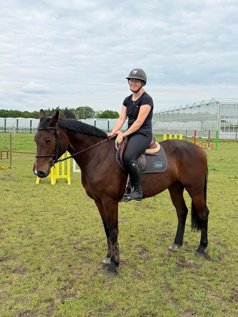 6 jarige merrie, Dieren en Toebehoren, Merrie