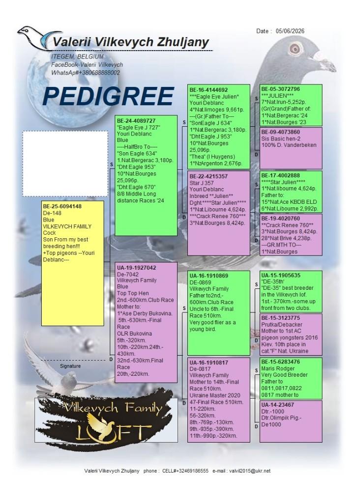 postduiven, Dieren en Toebehoren, Vogels | Duiven, Postduif