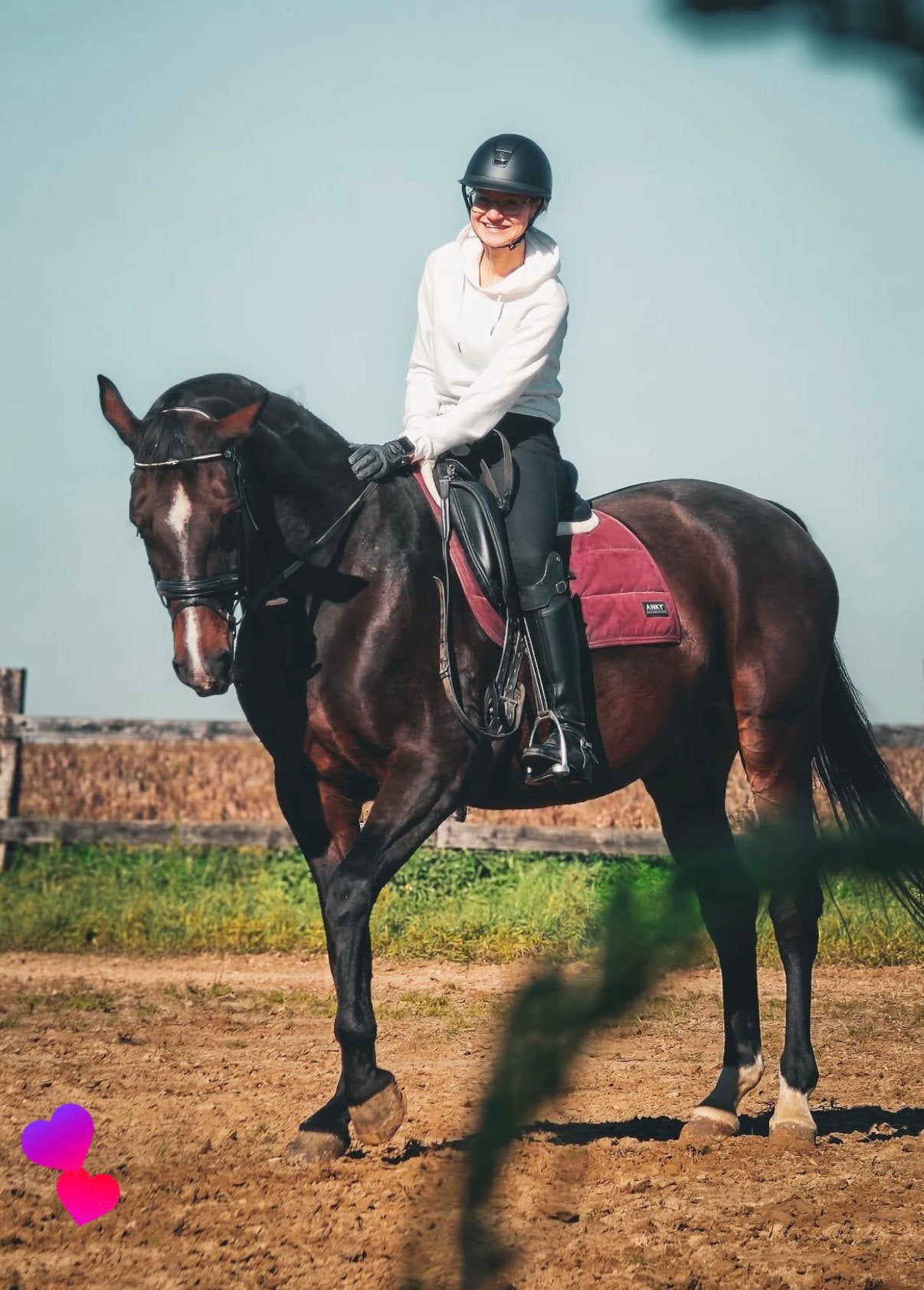 Lieve merrie te koop, B, 11 ans ou plus, Jument, 170 à 175 cm