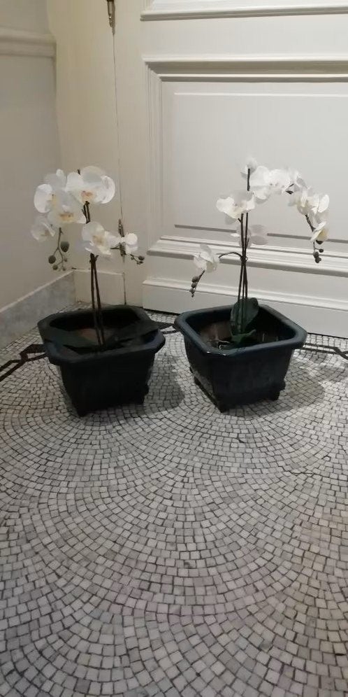 Bonsai planten potten, Tuin en Terras, Ophalen