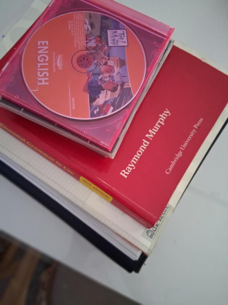 Boeken engels en frans leren + dvd, Boeken, Muziek, Ophalen