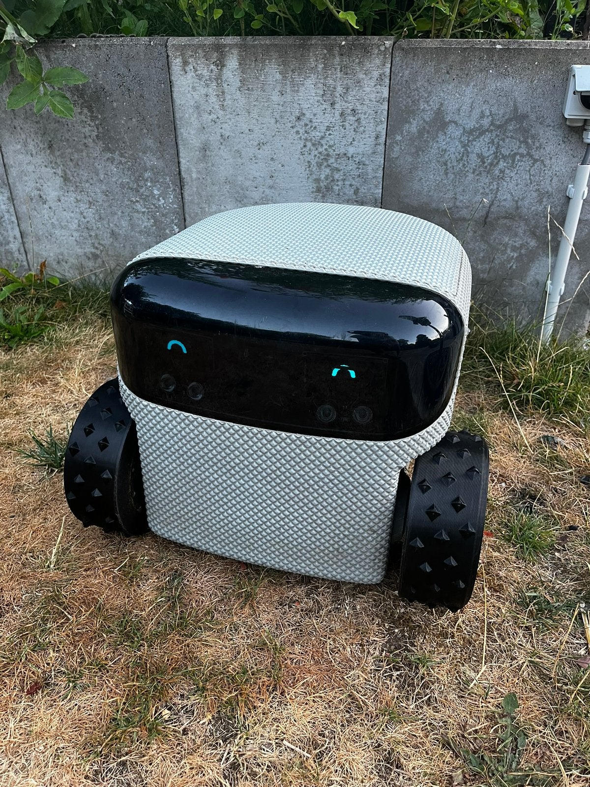 Robotmaaier Eeve Toadie, Tuin en Terras, Robotmaaiers, Ophalen, Gebruikt, 20 tot 25 cm, Met regensensor