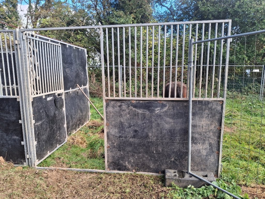 Wanted - panneaux pour boxes à chevaux, Animaux & Accessoires, Mise à l'étable, 2 ou 3 chevaux ou poneys
