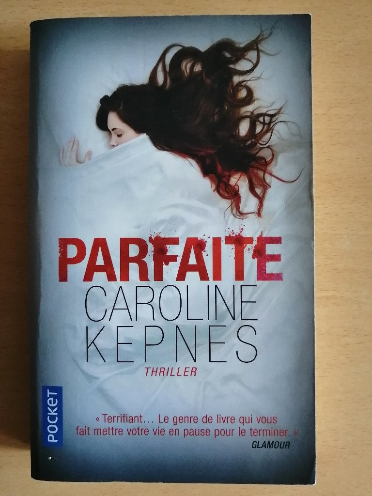 Parfaite (You) de Caroline Kepnes, Livres, Romans, Enlèvement ou Envoi