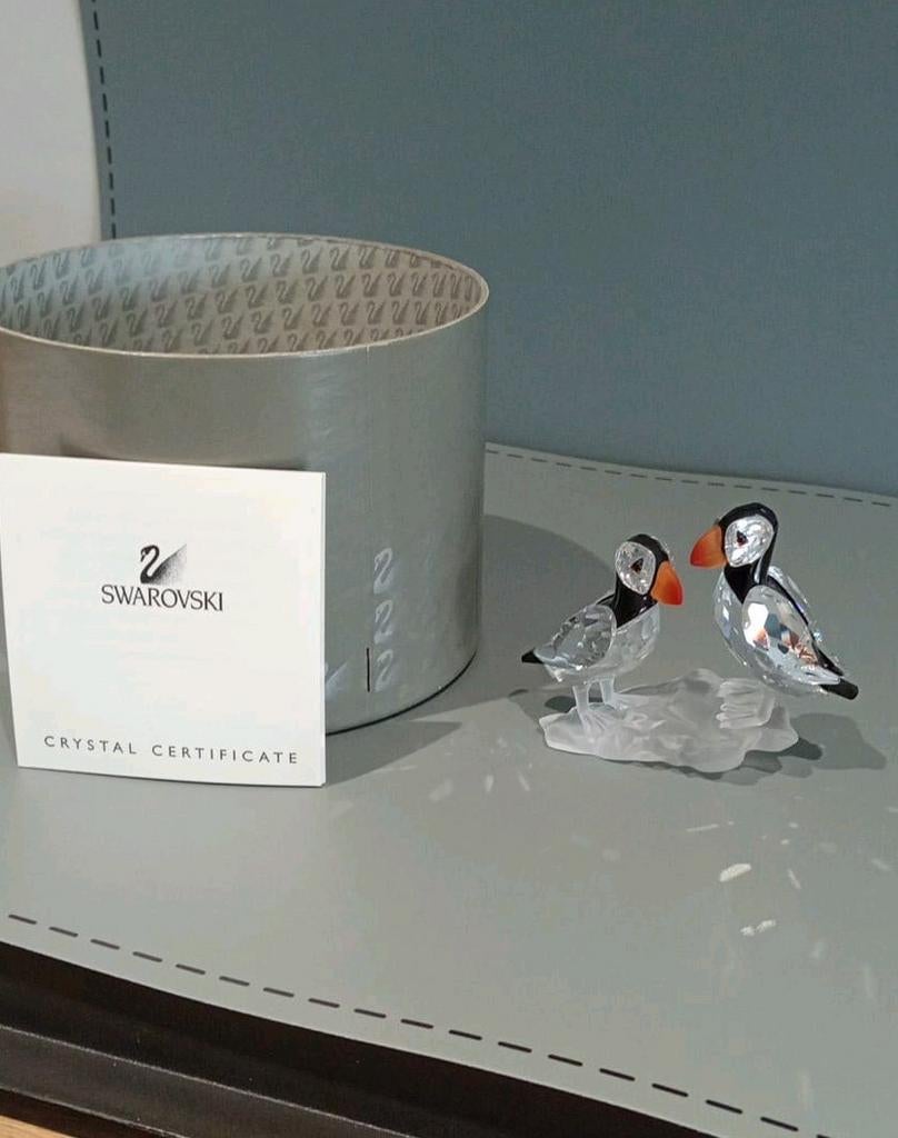 Swarovski Papegaaiduikers, Enlèvement