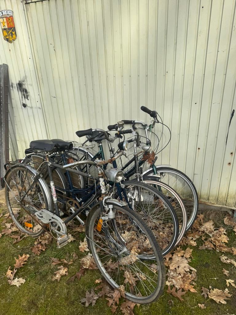 Retro fietsen, Fietsen en Brommers, Fietsen | Oldtimers, Ophalen