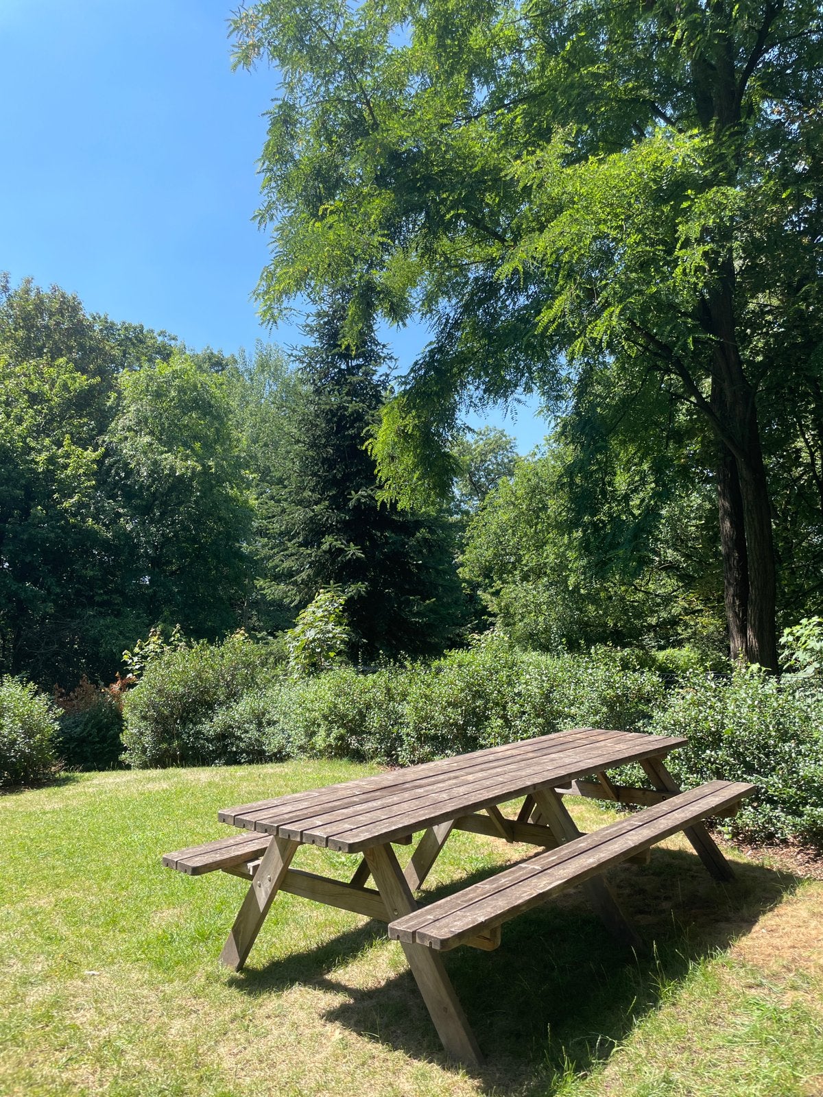 Picknick tafel 300x75cm, Tuin en Terras, Picknicktafels, Ophalen, Gebruikt, Rechthoekig, Hout