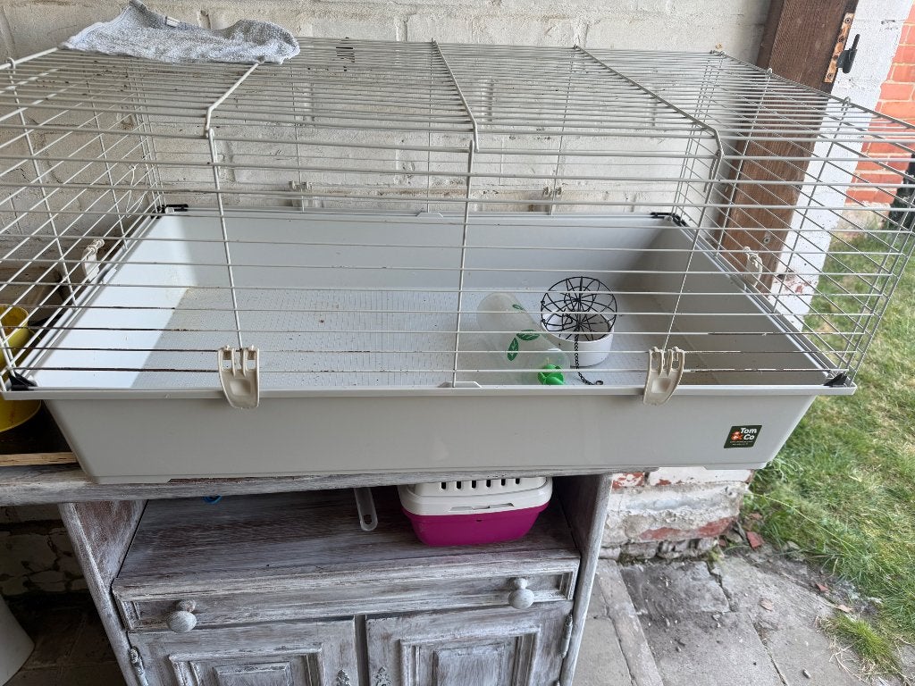 Gratis kattenkooi, Dieren en Toebehoren, Ophalen, Gebruikt
