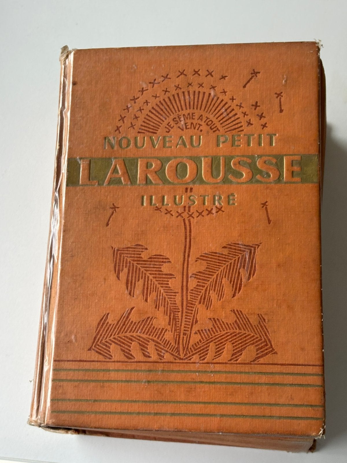 Dictionnaire Petit Larousse illustré 1949, Enlèvement