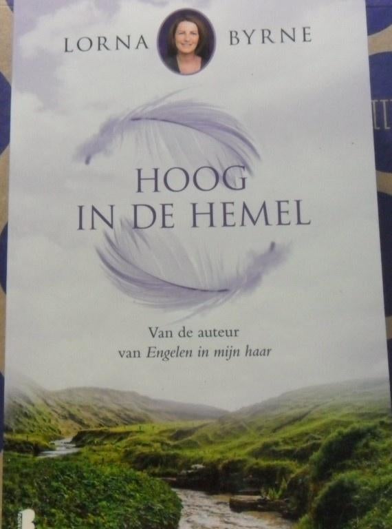 Hoog in de hemel, Lorna Byrne, Ophalen of Verzenden, Zo goed als nieuw