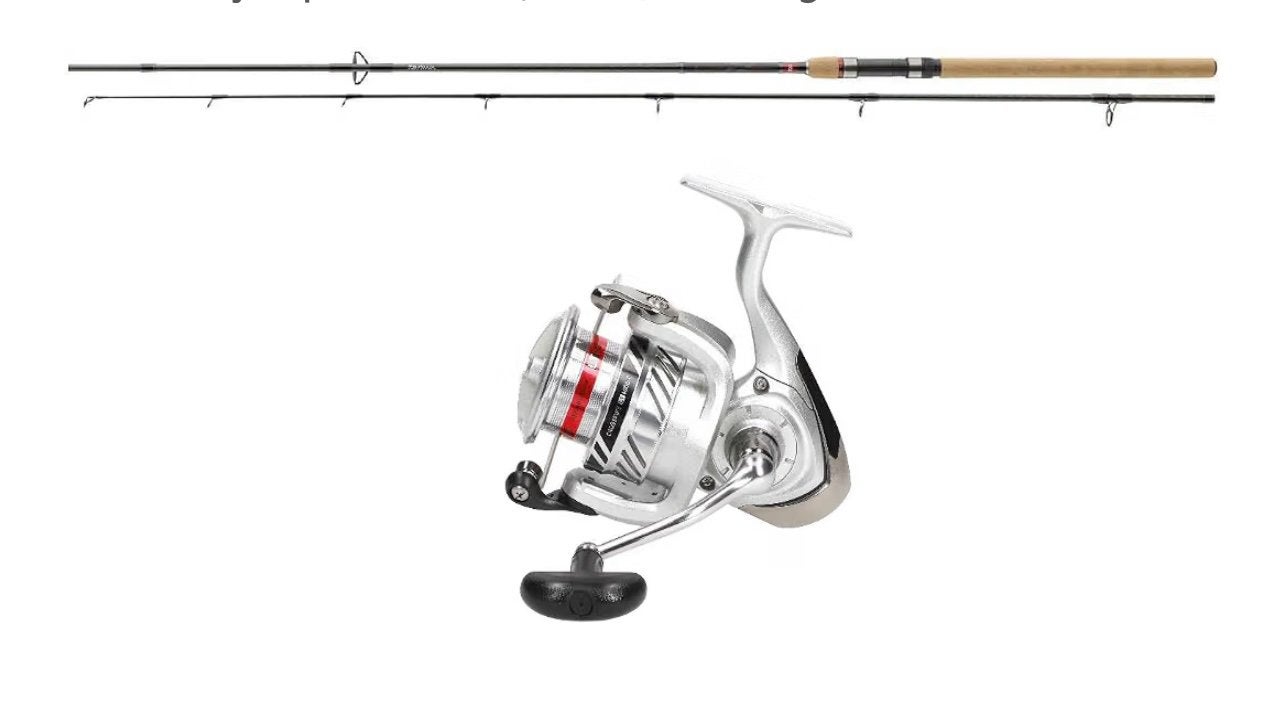 Daiwa Ninja Spin Visset 2,70 m / 15-50 g met molen FX 4000, Ophalen, Zo goed als nieuw, Molen