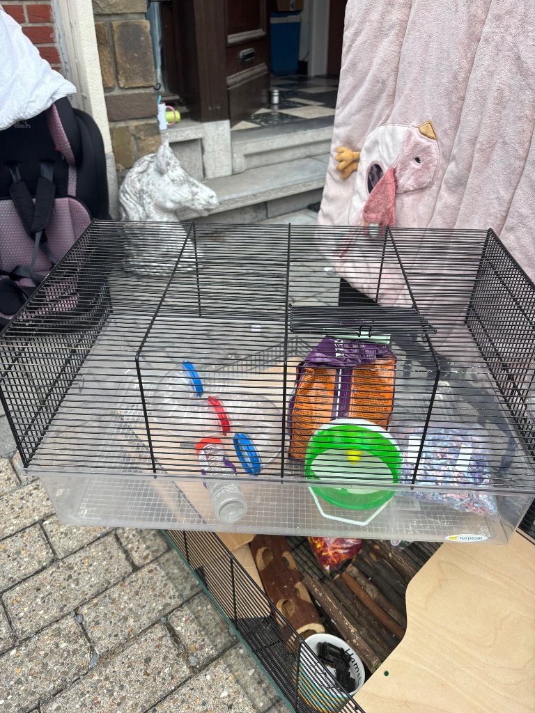 Cage hamster, Animaux & Accessoires, Enlèvement, Utilisé, Cage, Hamster