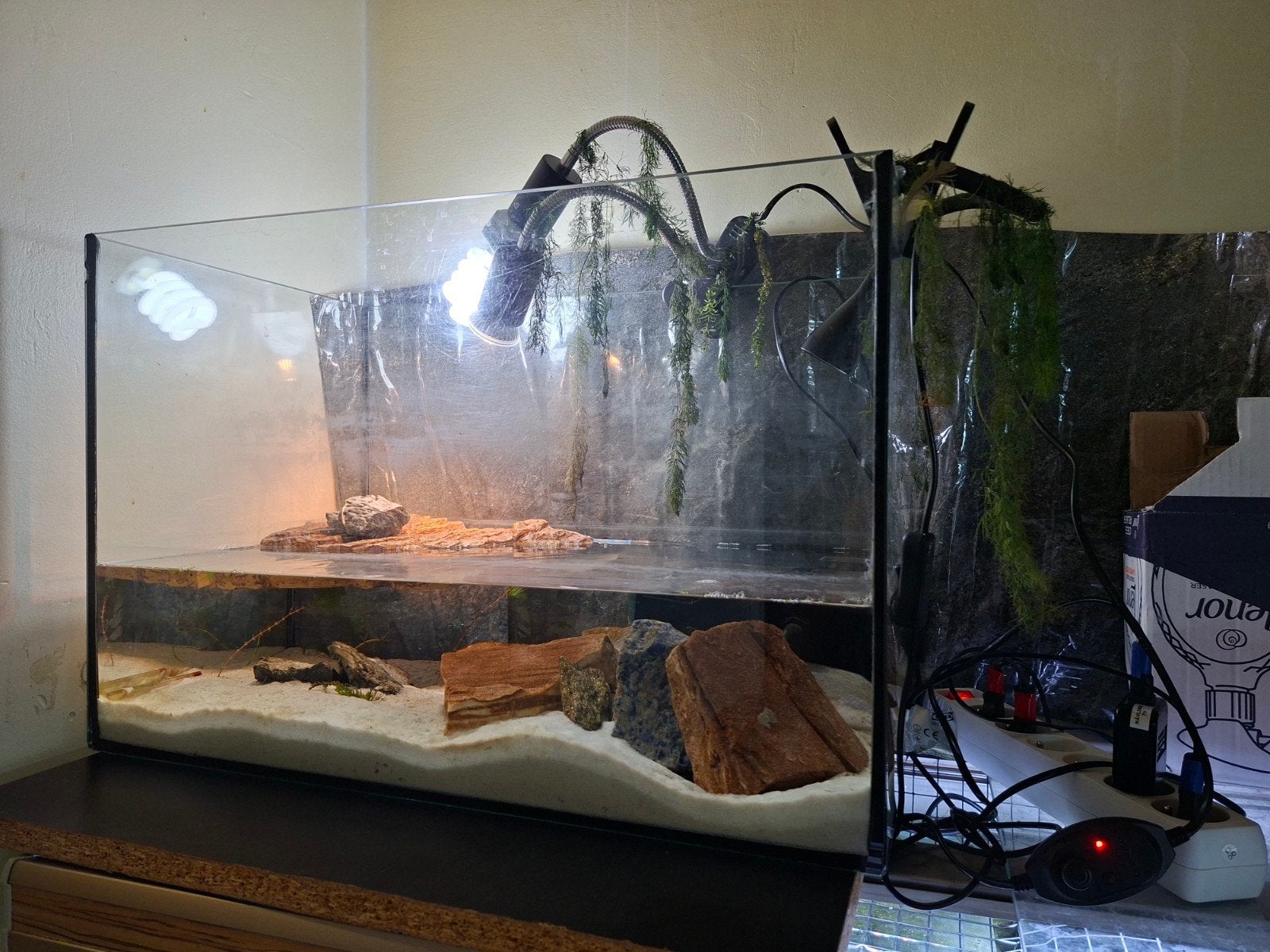 Kit complet Aquarium + Petite Tortue de Chine (Mauremys sine, Animaux & Accessoires, Enlèvement, Comme neuf, Terrarium ou Paludarium