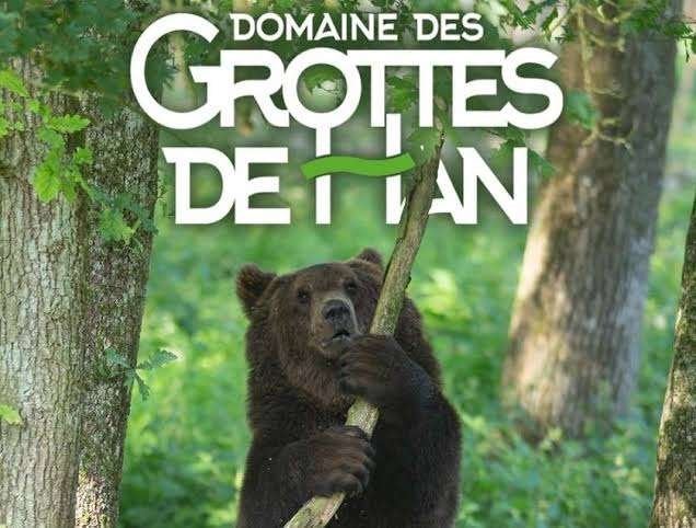 2 e tickets pass han + validité 07/11/26 : 35 euros les 2, Tickets & Billets, Deux personnes