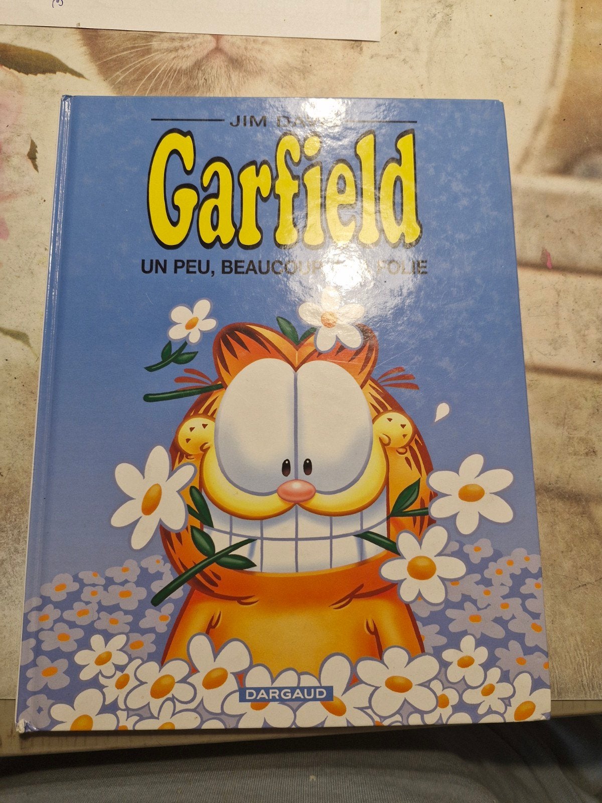 livre bd garfield un peu,beaucoup,a la folie en bonne etatat, Livres, Enlèvement ou Envoi, Comme neuf