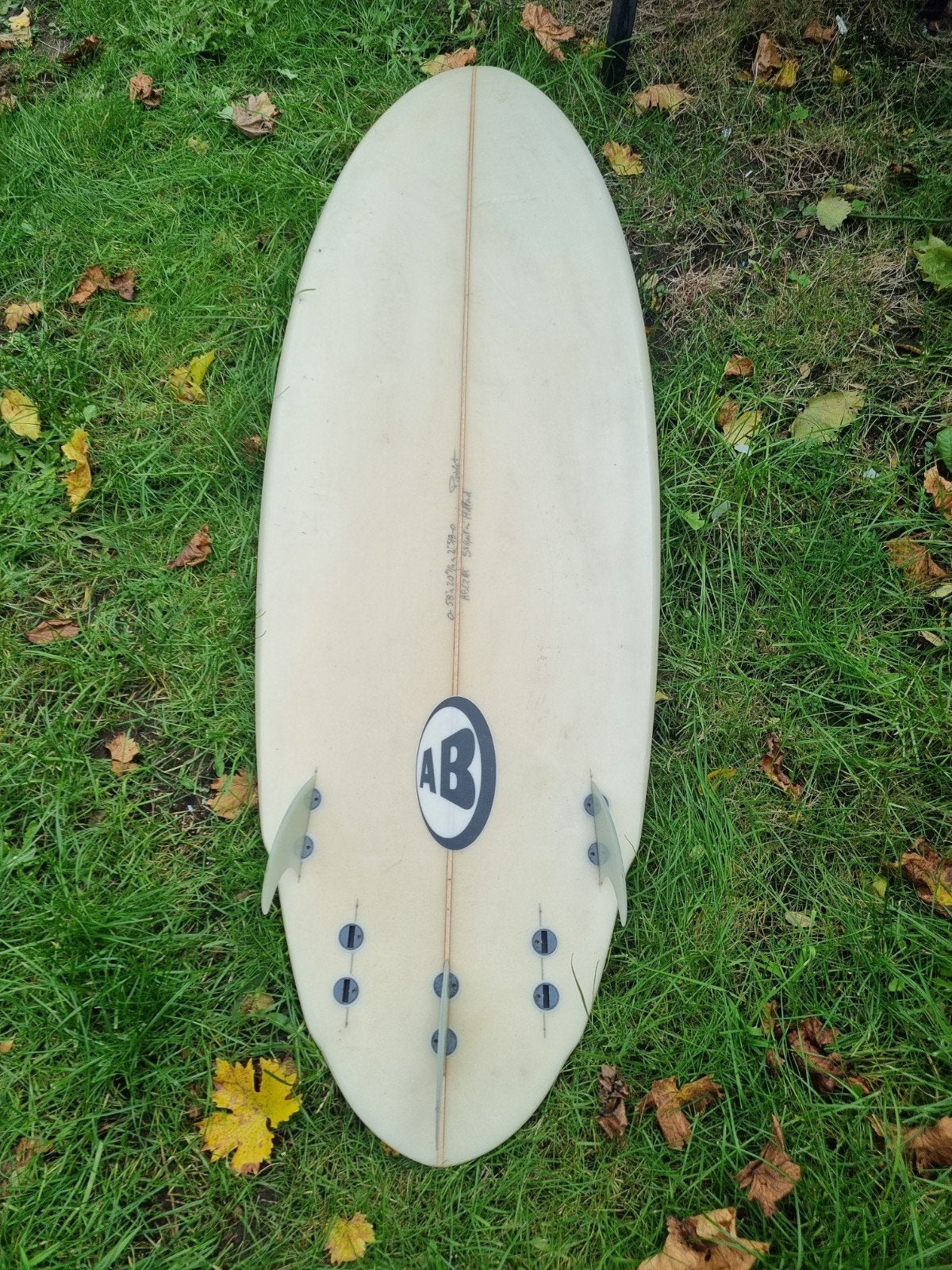 Surfboard, Watersport en Boten, Ophalen