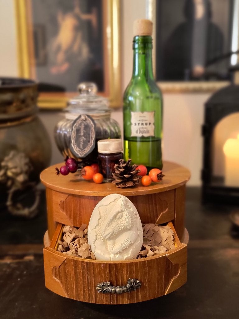 Halloween - Unieke 'Potions' Decoratieset (Enkel Afhalen), Ophalen, Nieuw, Overige typen
