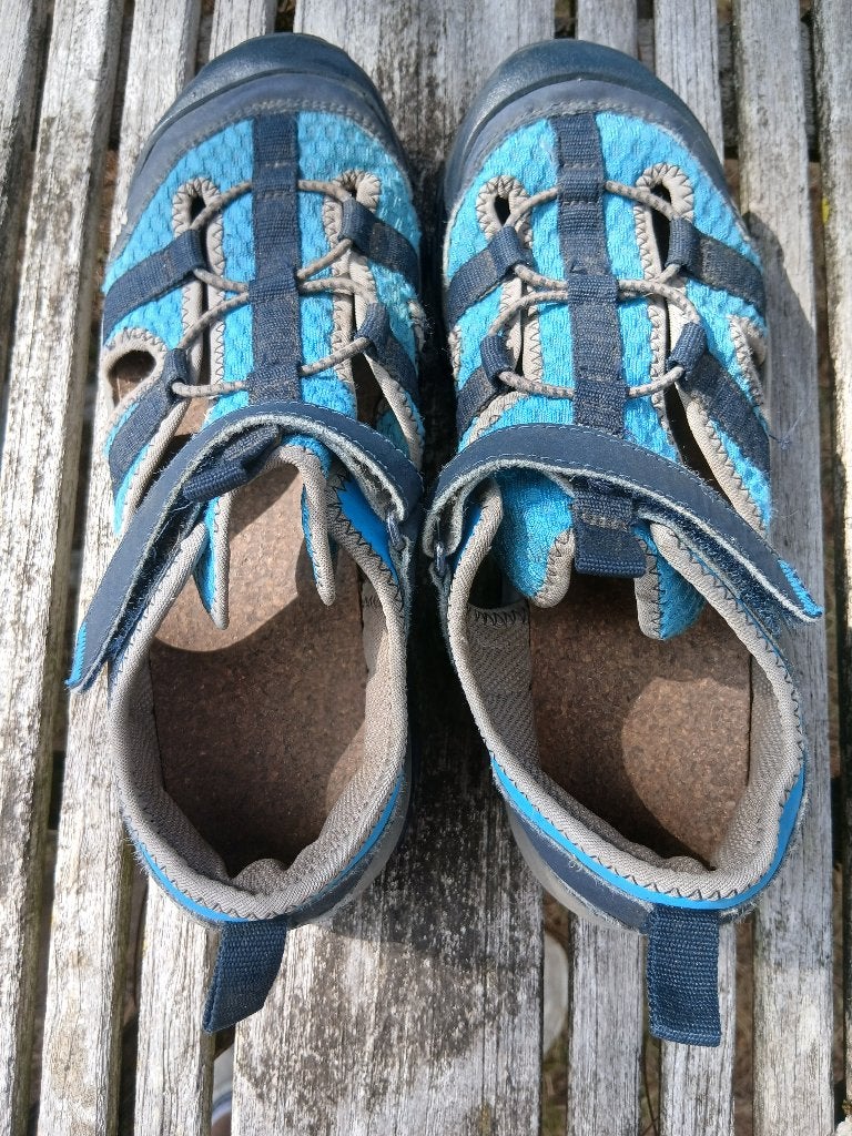 Schoenen, Blauw, Zo goed als nieuw, Ophalen, Quechua