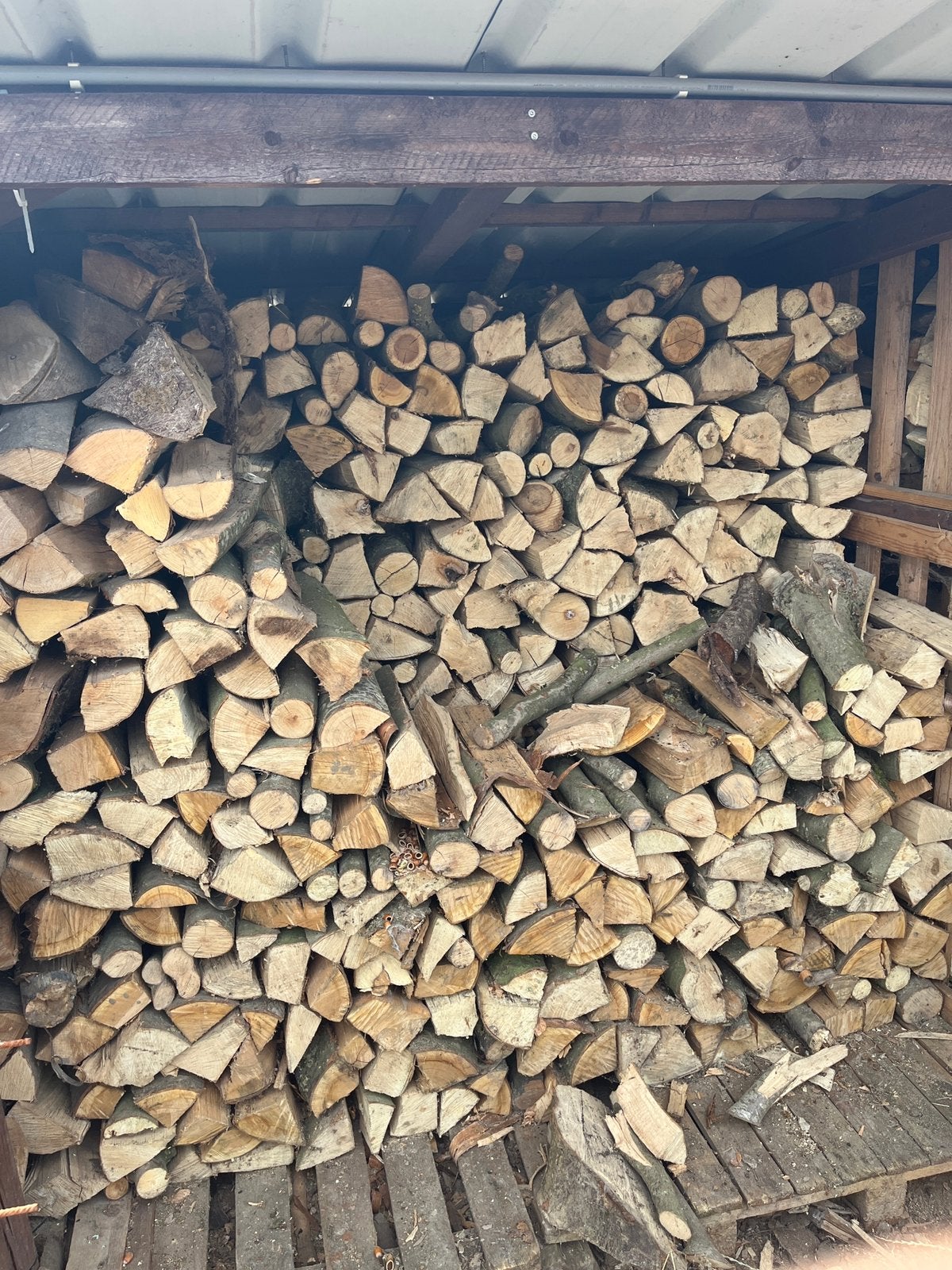 Bois de chauffage sec, 6 m³ of meer, Ophalen, Beukenhout, Blokken