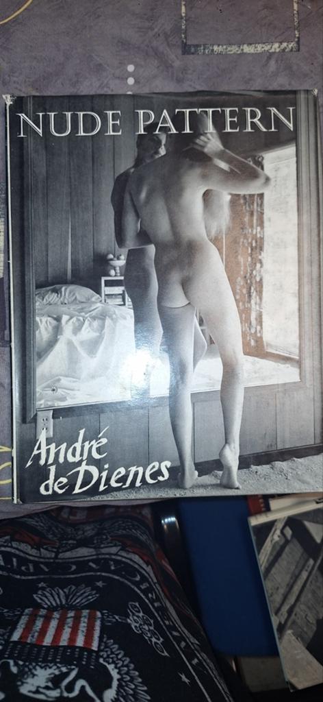 Motif nu Andre de Dienes, Enlèvement ou Envoi