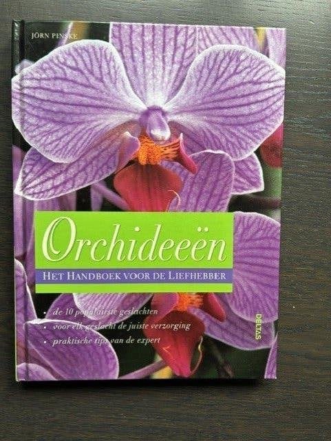 Orchideeën, Maison & Meubles, Plantes d'intérieur, Autres espèces, En pot, Enlèvement ou Envoi, Plante à fleurs