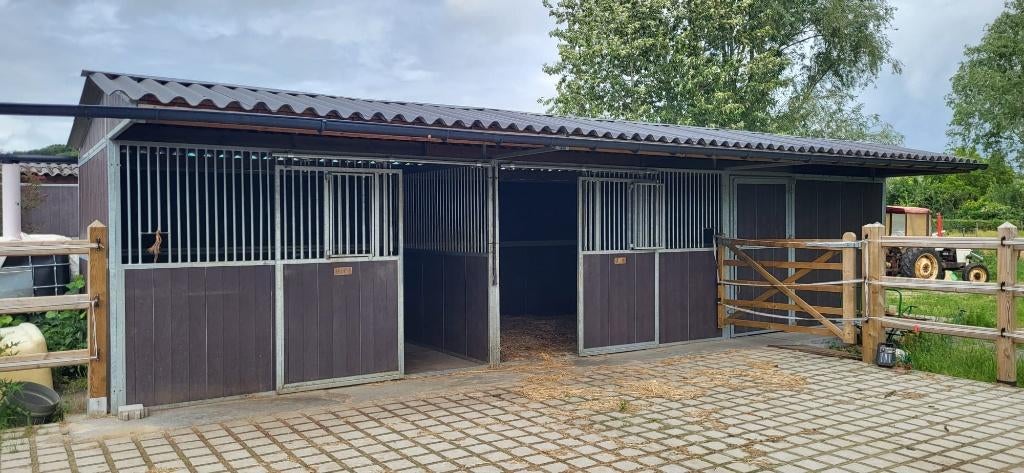 Abrite/écurie, Pâturage, 4 chevaux ou poneys ou plus