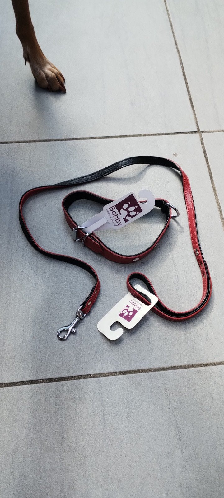 Hondenriem en halsband, Dieren en Toebehoren, Ophalen of Verzenden, Nieuw, Hondenriem