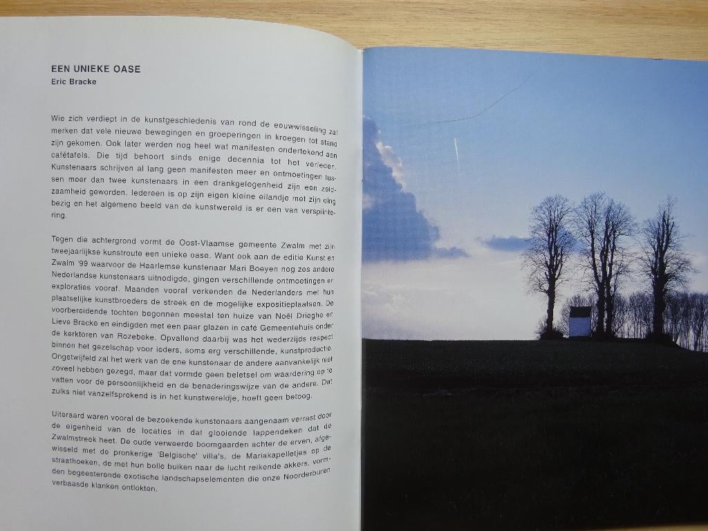 Kunst en Zwalm, 1999 expo openlucht, Enlèvement ou Envoi, Comme neuf, Sculpture