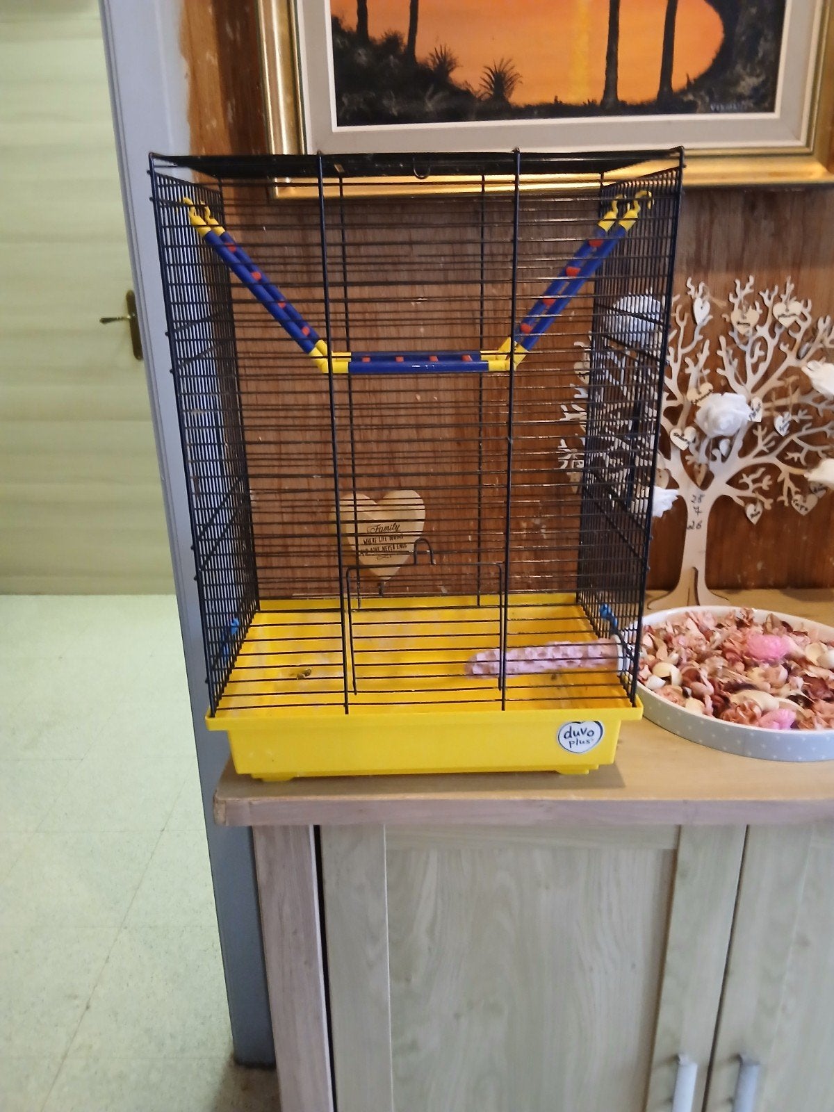 vogelkooi, Dieren en Toebehoren, Vogels | Hokken en Kooien, Ophalen, Vogelkooi