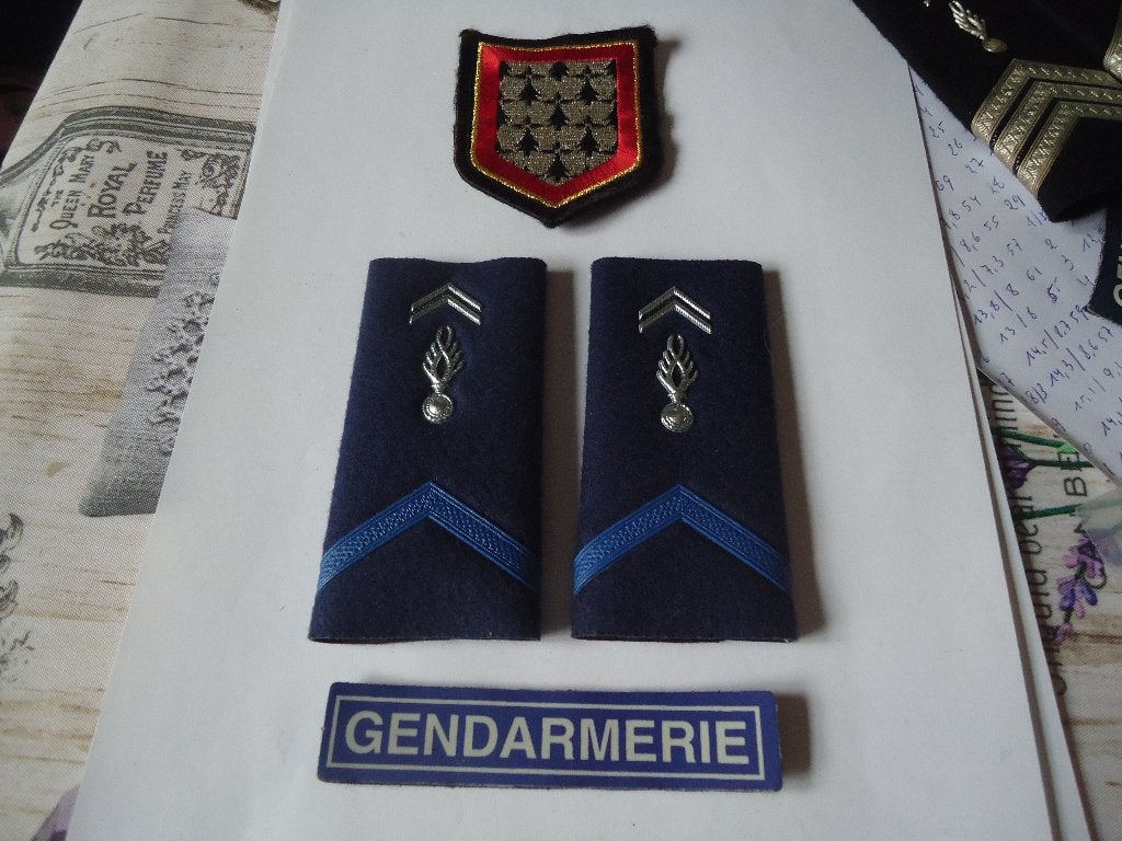 insignes auxiliaire gd, Collections, Enlèvement ou Envoi, Gendarmerie, Emblème ou Badge