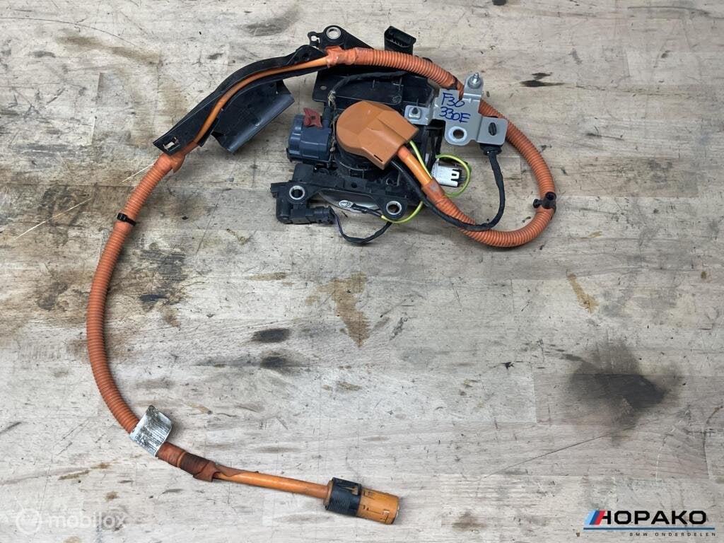 Oplaadpunt hybride diverse BMW ‘s | 6317740997305, Autos : Pièces & Accessoires, Enlèvement ou Envoi, Einsteinlaan 5 rijswijk