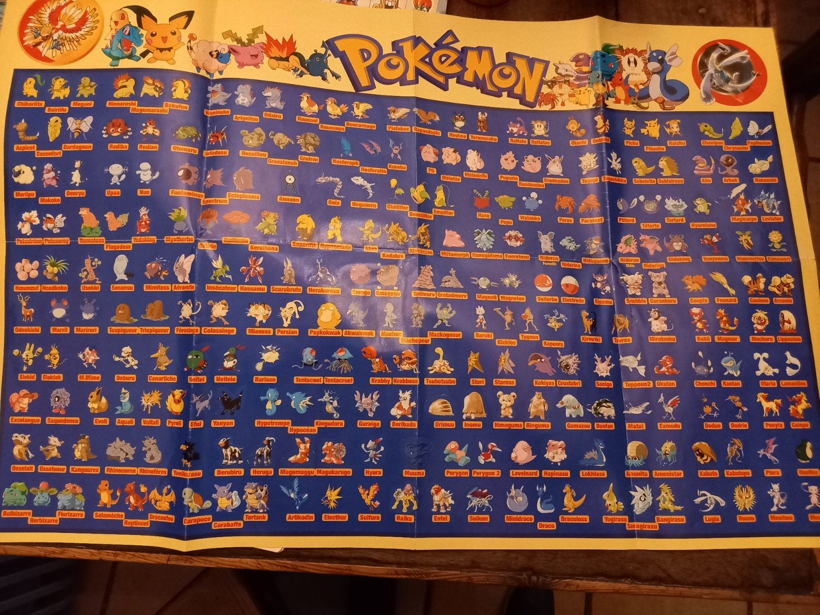 Poster pokémon, Collections, Posters & Affiches, Enlèvement