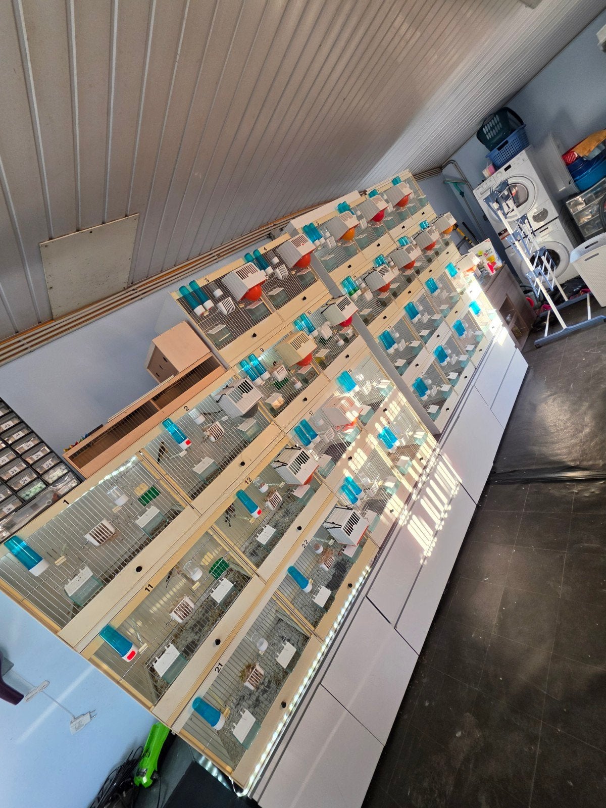 Gros lot d'élevage – 15 cages – nombreux accessoires, Enlèvement, Utilisé