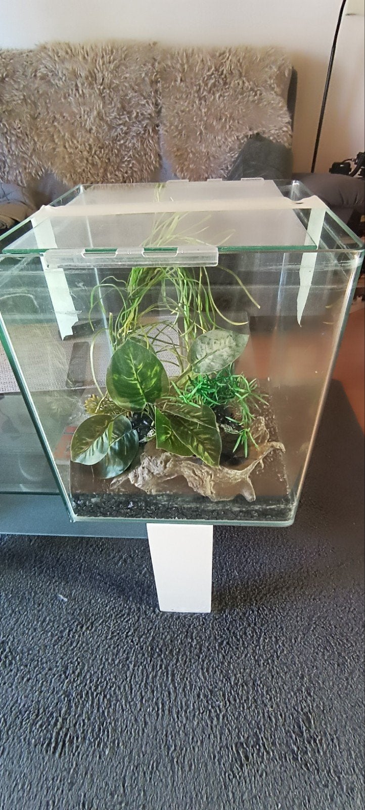 aquarium, Animaux & Accessoires, Enlèvement ou Envoi
