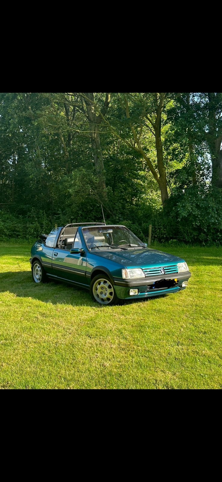 Peugeot 205 cti 1.9 u 9 122 pk, Cabriolet, Particulier, Te koop, Benzine