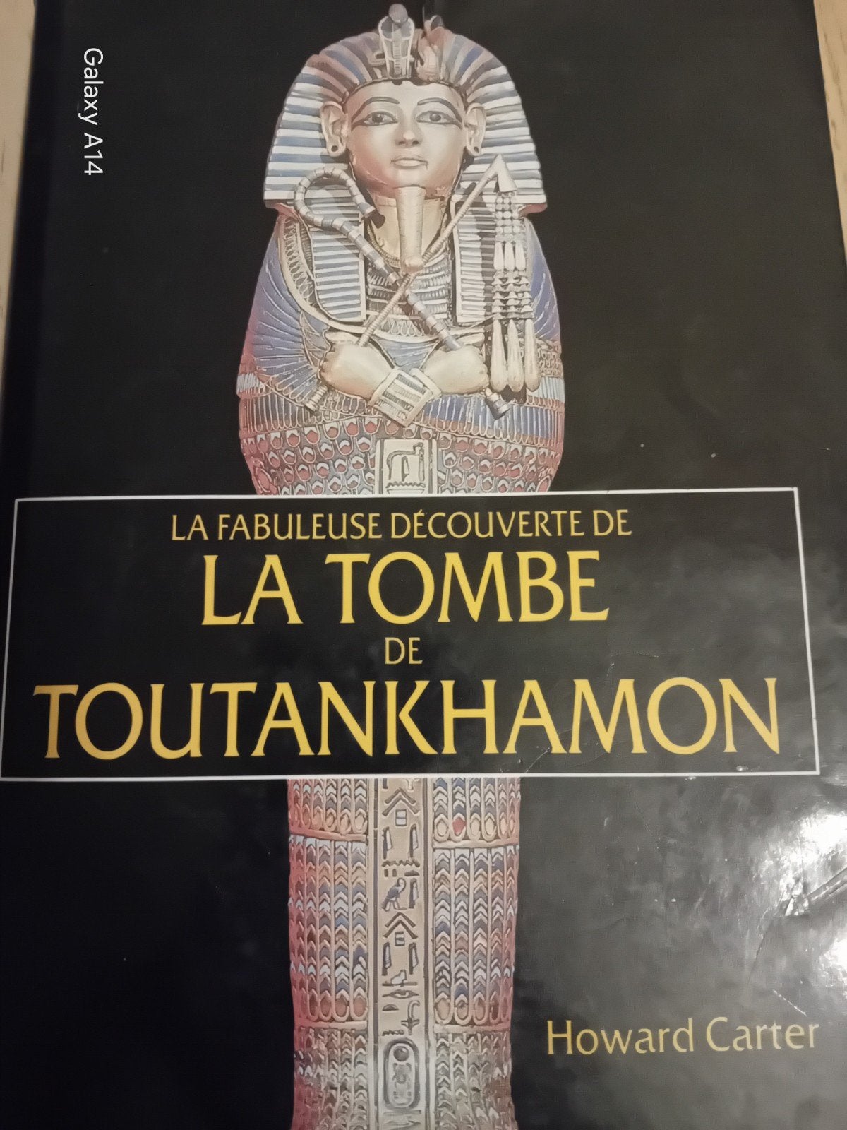 "La fabuleuse découverte de la tombe de Toutankhamon", Livres, Histoire mondiale, Enlèvement