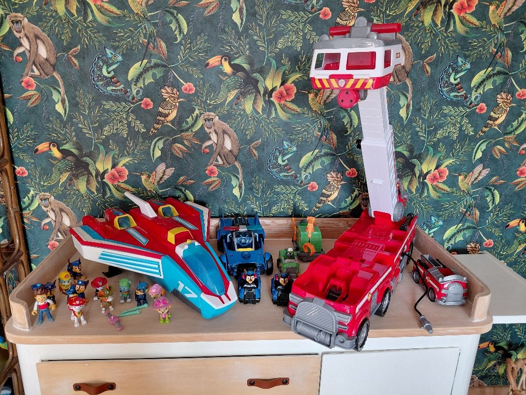 Groot lot Paw patrol, Ophalen