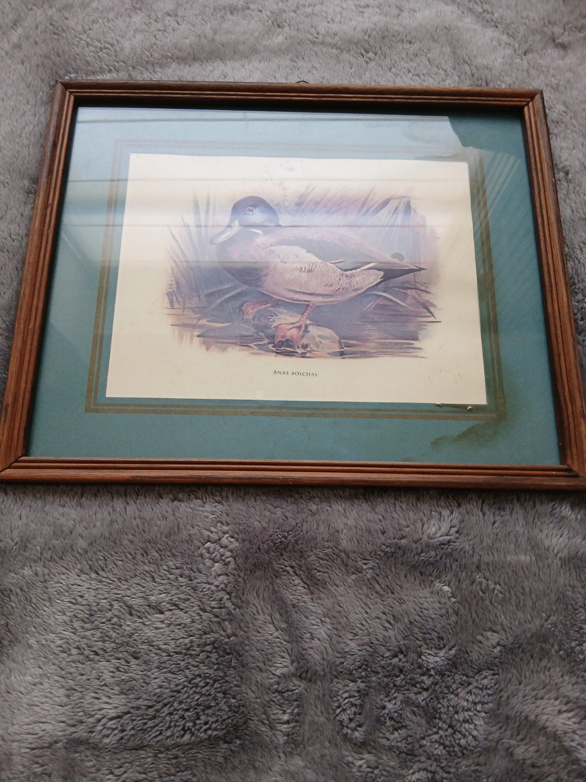 brocante kader, Antiquités & Art, Enlèvement