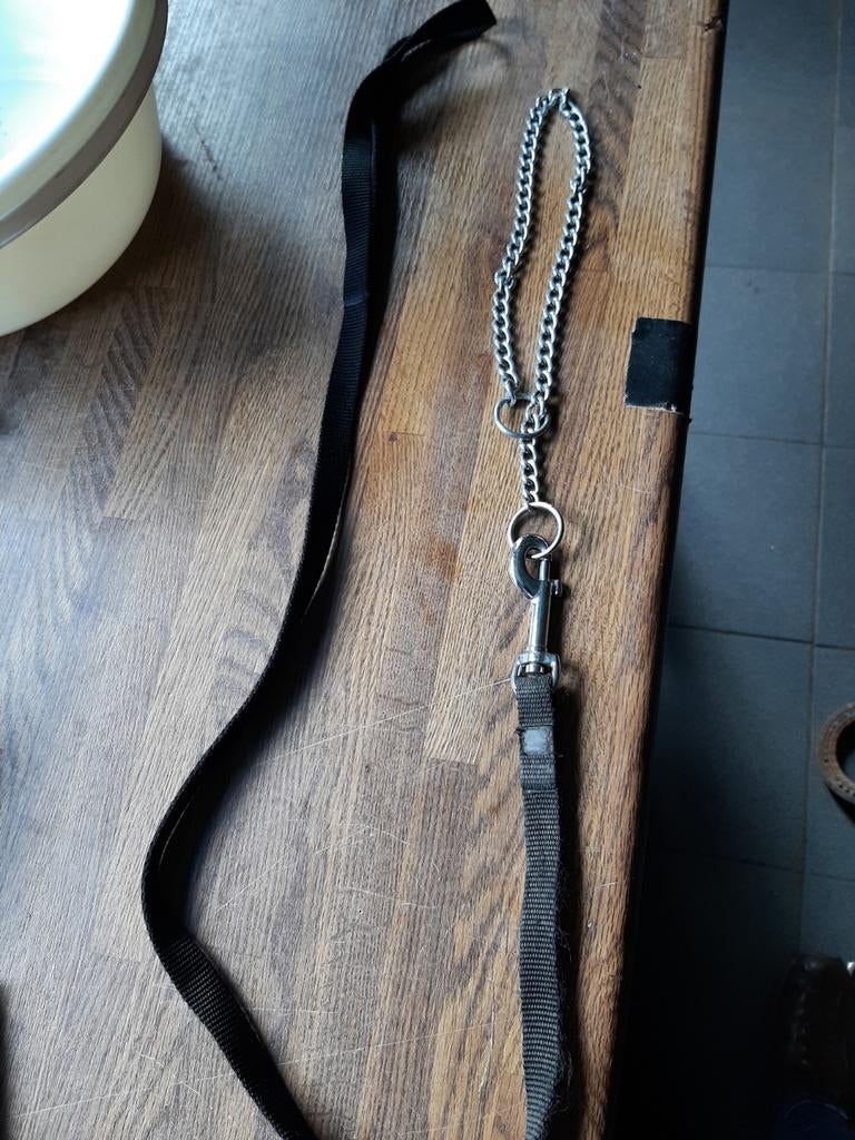 Hondeleiband, Dieren en Toebehoren, Ophalen