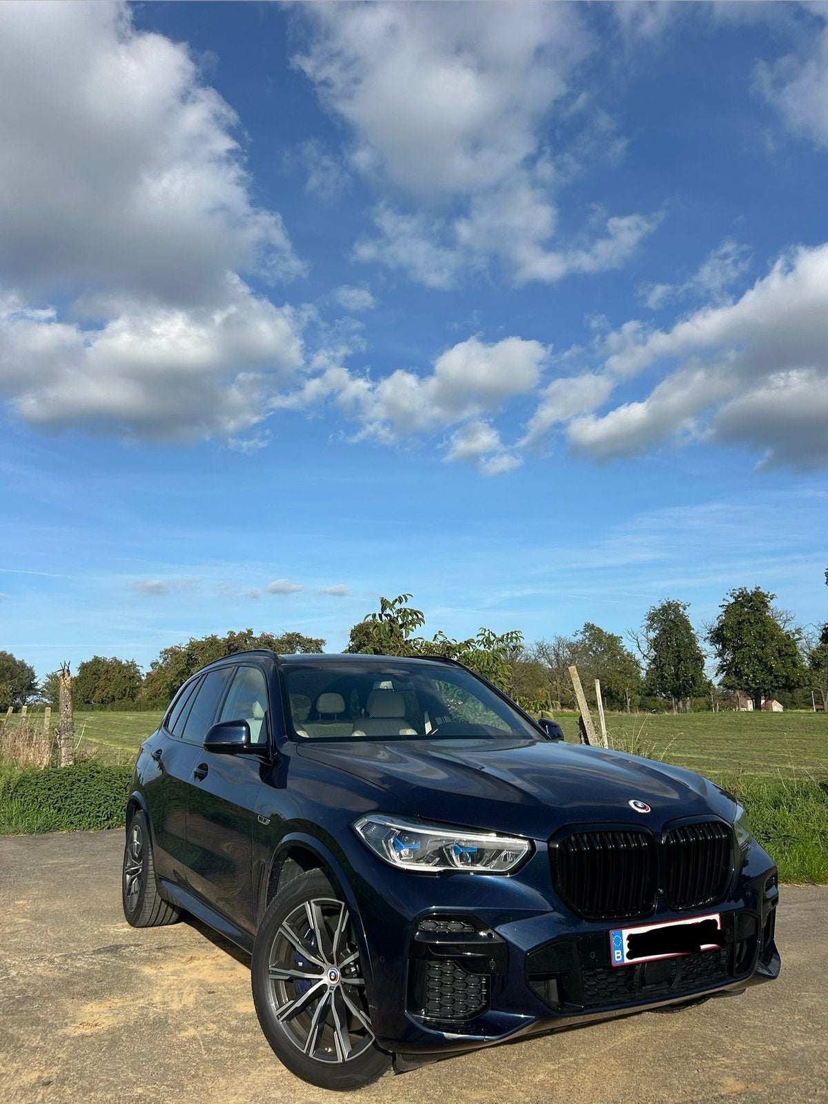 BMW x5  xdrive45e, Automaat, Blauw, Berline, Onderhoudsboekje