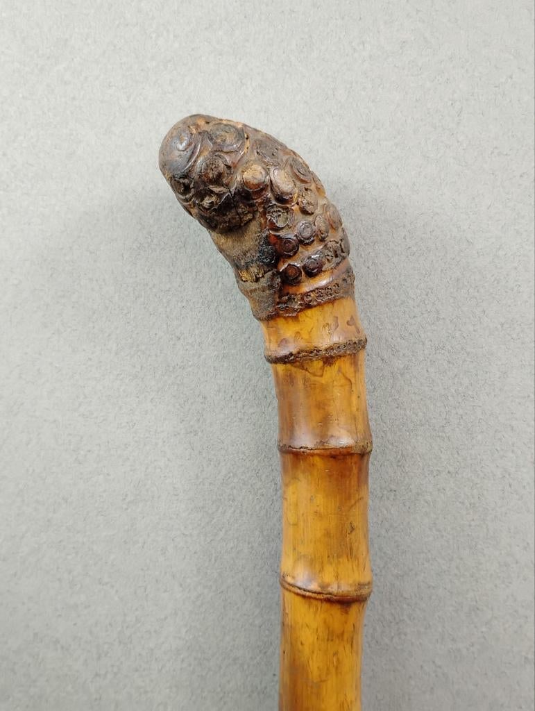 Canne a système canne à pêche bambou polie 1900, Divers, Bâtons de marche, Utilisé, Enlèvement ou Envoi