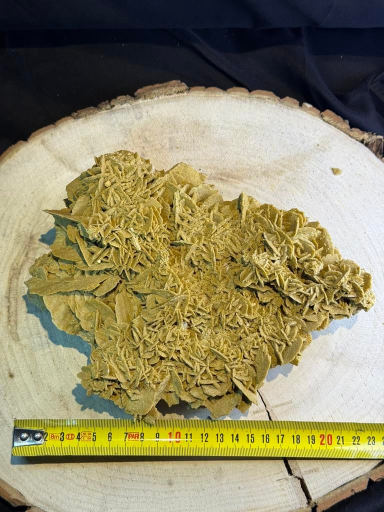 Sahara Zandroos (1,55 kg) – mooi groot stuk – €39, Verzamelen, Ophalen of Verzenden