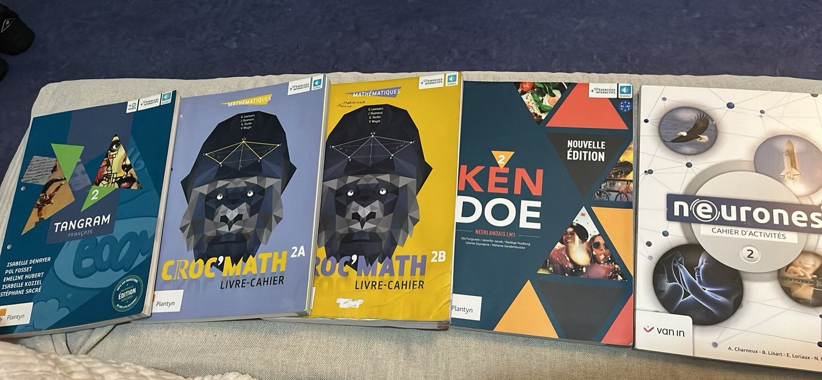 5 cahiers niveau deuxieme secondaire, Livres, Livres scolaires, Enlèvement