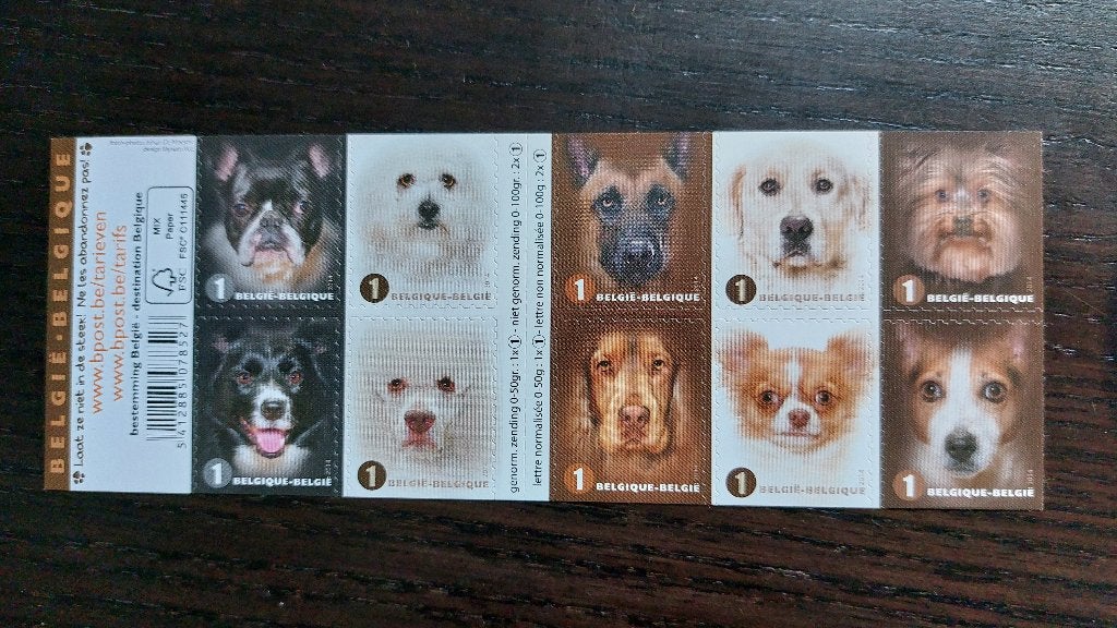 België: Honden naderbij - B145, Sans timbre, Enlèvement ou Envoi, Non oblitéré, Gomme originale