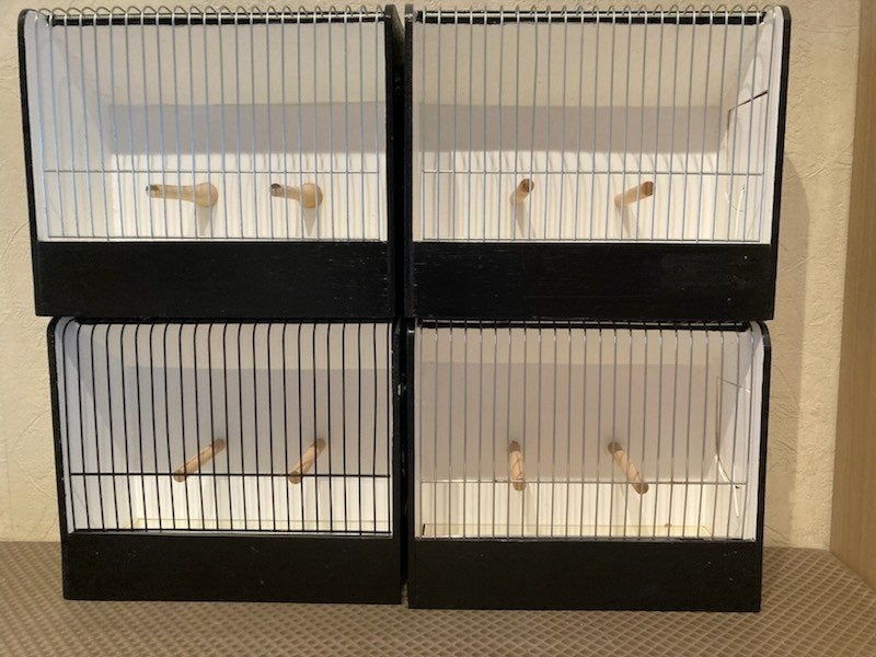Tentoonstellingskooien, Dieren en Toebehoren, Ophalen, Gebruikt, Hout, Vogelkooi