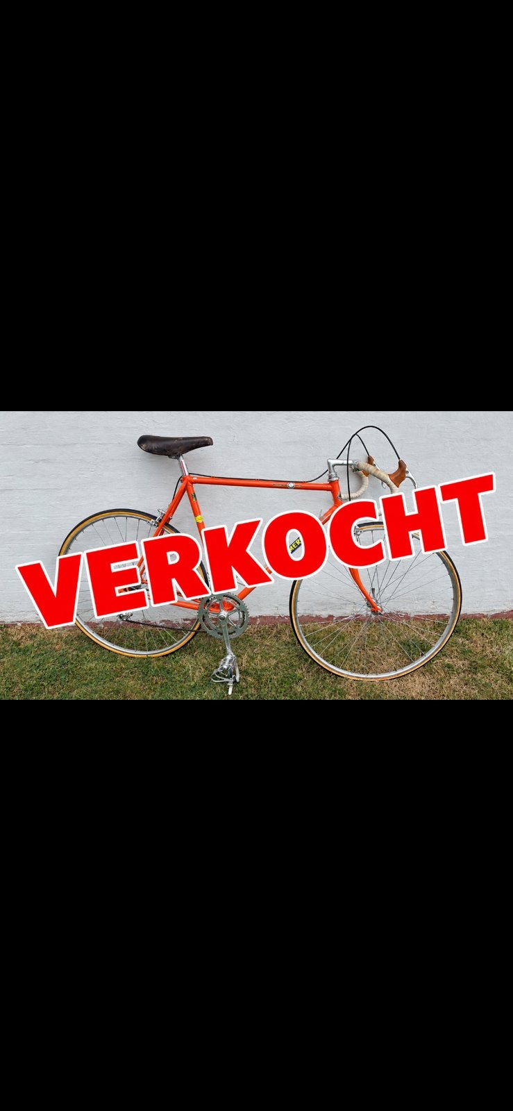 Eddy Merckx molteni retro, Ophalen
