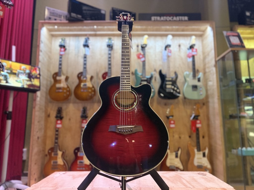 Ibanez AEL20E Akoestische Gitaar, Ophalen, Western- of Steelstringgitaar